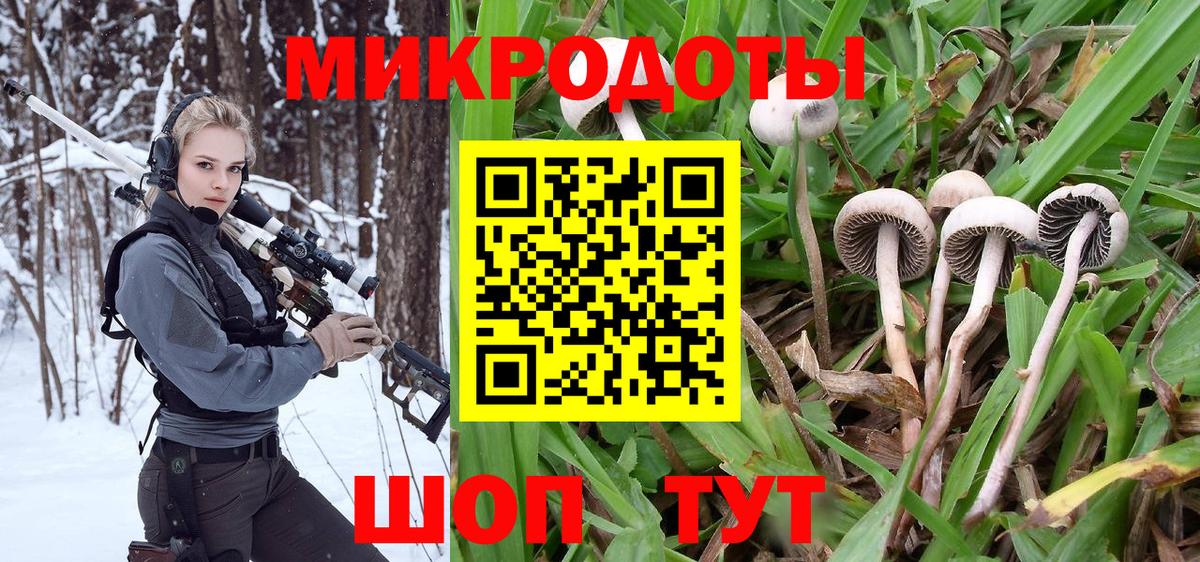 Псилоцибиновые грибы мухоморы Жуковский