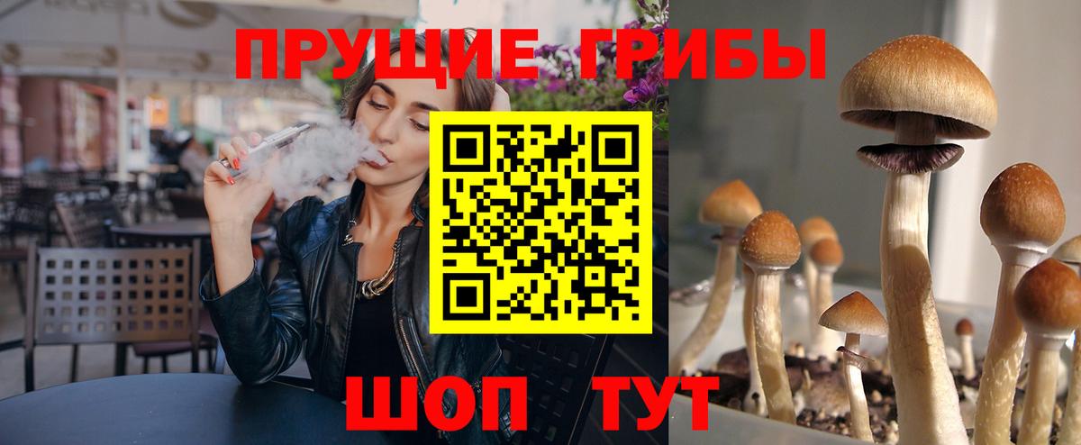 Галлюциногенные грибы Magic Shrooms  Псилоцибиновые грибы GOLDEN TEACHER  Жуковский  Вход с VPN 